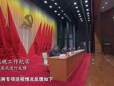 [视频]《巡视利剑》第二集《政治巡视》