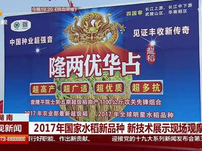 2017年国家水稻新品种 新技术展示现场观摩会