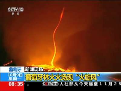 [视频]葡萄牙：新闻现场——葡萄牙林火火场现“火旋风”