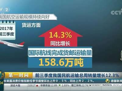 [视频]前三季度我国民航运输总周转量增长12.3%