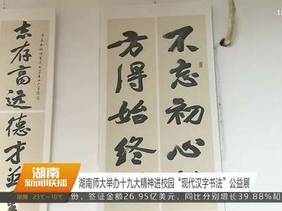 湖南师大举办十九大精神进校园“现代汉字书法”公益展