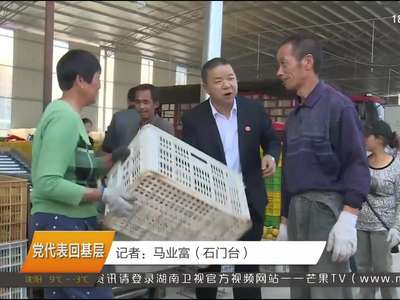 党代表回基层 党代表周先朋宣讲十九大精神