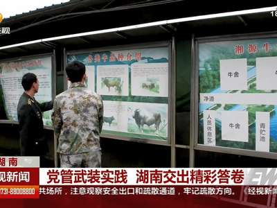 党管武装实践 湖南交出精彩答卷