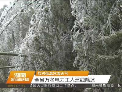 应对低温冰雪天气 全省万名电力工人巡线除冰