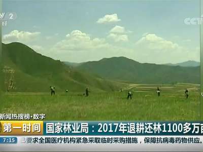 [视频]国家林业局：2017年退耕还林1100多万亩