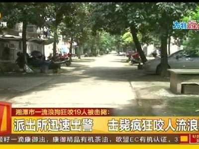 湘潭市一流浪狗狂咬19人被击毙
