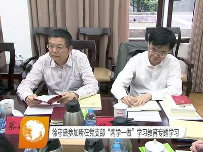 徐守盛参加所在党支部“两学一做”学习教育专题学习