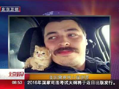 [视频]美国警察救小猫后带其巡逻 一人一猫成网红 