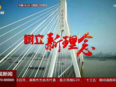 推进洞庭湖水环境综合治理 遥看洞庭天下翠