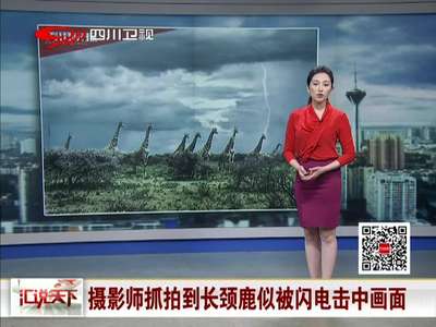 [视频]摄影师抓拍到长颈鹿似被闪电击中画面