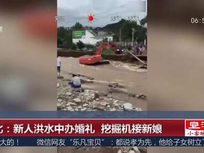 [视频]河北：新人洪水中办婚礼 挖掘机接新娘
