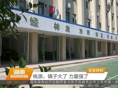 桃源：镇子大了 力量强了