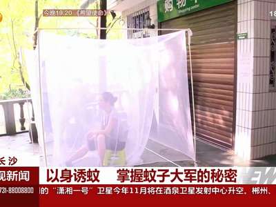 六月和九月蚊子最多 要及时清理积水