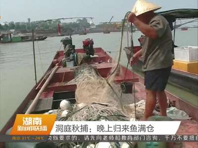 洞庭秋捕：晚上归来鱼满仓