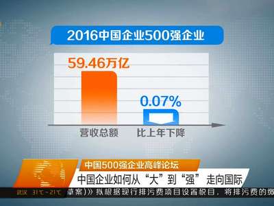 中国500强企业高峰论坛 中国企业如何从“大”到“强”走向国际
