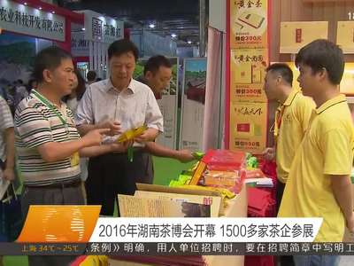 2016年湖南茶博会开幕 1500多家茶企参展