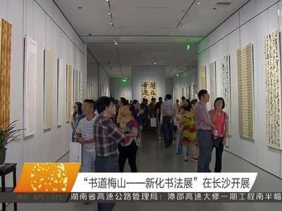 “书道梅山——新化书法展”在长沙开展