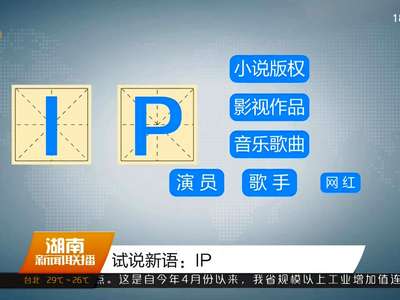 试说新语：IP