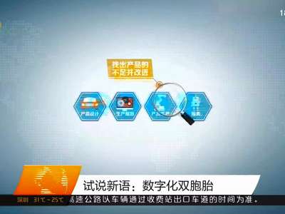 试说新语：数字化双胞胎