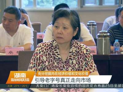 张庆黎率团来湘调研老字号企业 杜家毫 许达哲 李微微看望张庆黎一行