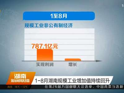 1-8月湖南规模工业增加值持续回升