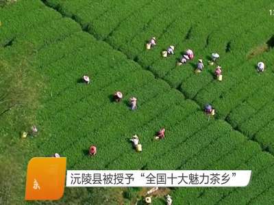 沅陵县被授予“全国十大魅力茶乡”