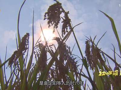 初心璀璨：不沾光 要争光