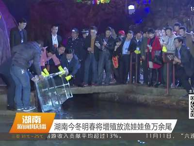 湖南今冬明春将增殖放流娃娃鱼万余尾