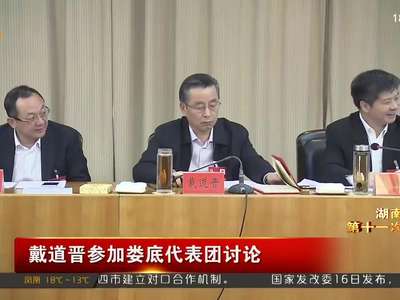 戴道晋参加娄底代表团讨论