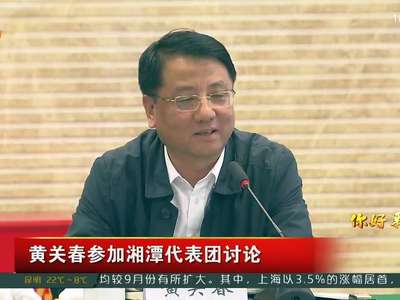 黄关春参加湘潭代表团讨论