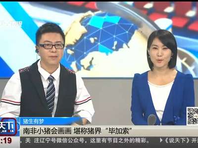 [视频]南非小猪会画画 堪称猪界“毕加索”