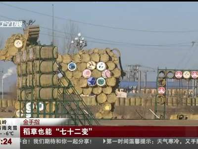 [视频]金手指 稻草也能“七十二变”