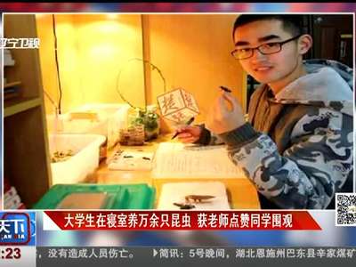 [视频]大学生在寝室养万余只昆虫 获老师点赞同学围观