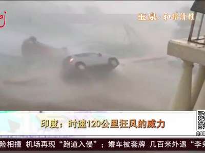 [视频]印度：时速120公里狂风的威力