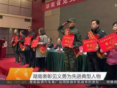 湖南表彰见义勇为先进典型人物