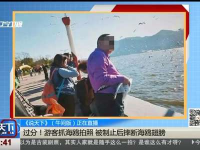 [视频]过分！游客抓海鸥拍照 被制止后摔断海鸥翅膀
