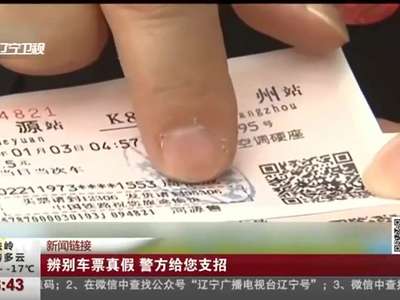 [视频]辨别车票真假 警方给您支招