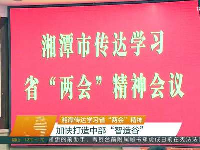 湘潭传达学习省“两会”精神 加快打造中部“智造谷”