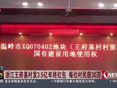 [视频]浙江王府基村发3.5亿年终红包 每位村民获30万