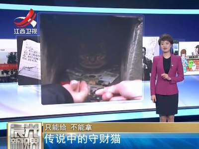 [视频]只能给 不能拿：传说中的守财猫
