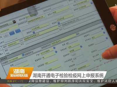 湖南开通电子检验检疫网上申报系统