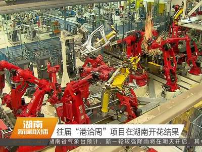 往届“港洽周”项目在湖南开花结果