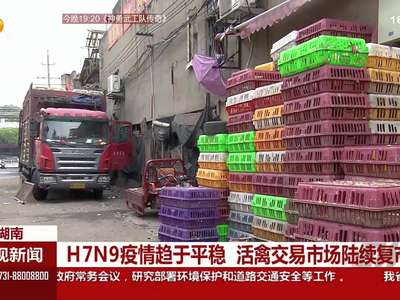 H7N9疫情趋于平稳 活禽交易市场陆续复市