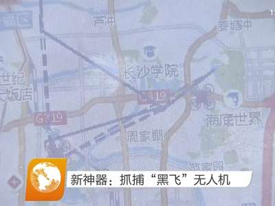 新神器：抓捕“黑飞”无人机