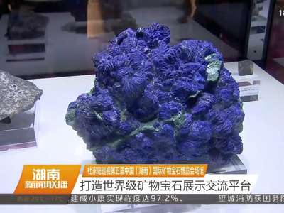 杜家毫巡视第五届中国（湖南）国际矿物宝石博览会场馆 打造世界级矿物宝石展示交流平台