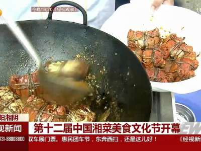 第十二届中国湘菜美食文化节开幕