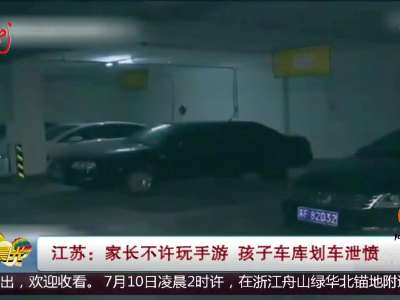 [视频]江苏：家长不许玩手游 孩子车库划车泄愤
