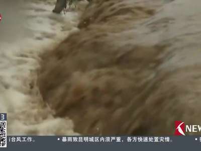 [视频]吉林永吉：灾后七天再降暴雨 受灾严重