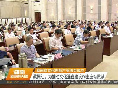 湖南省文化创意产业协会成立 蔡振红：为推动文化强省建设作出应有贡献