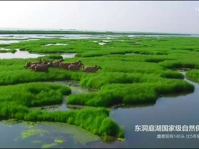 [喜迎十九大·我们看见的变化]湖南篇